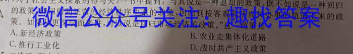 天一大联考皖豫名校联盟2022-2023学年(下)高二年级阶段性测试(四)历史