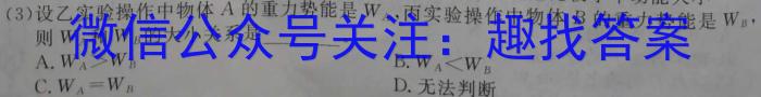 巴蜀中学2023届高考适应性月考卷(十)物理`