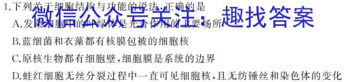 ［山西大联考］山西省2023-2024学年第二学期高二下学期5月联考数学