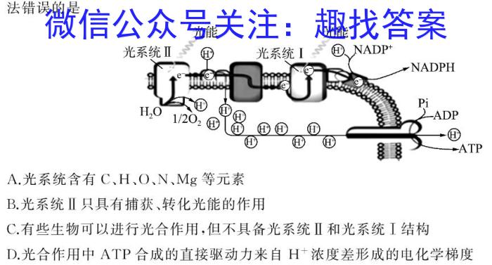 炎德英才大联考2024年高考考前仿真联考一数学