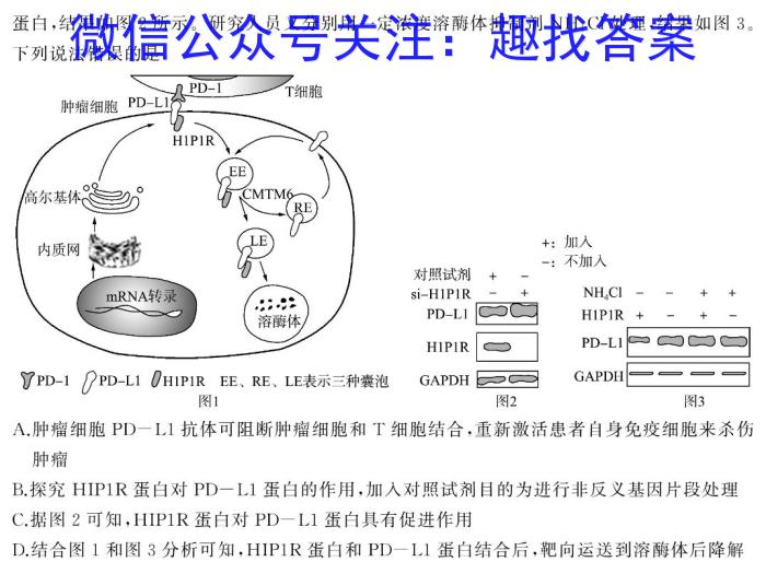 河北省2023-2024学年高一（上）质检联盟第四次月考数学