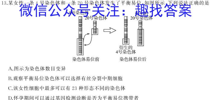 2023年广东大联考高三年级5月联考（23-456C）生物