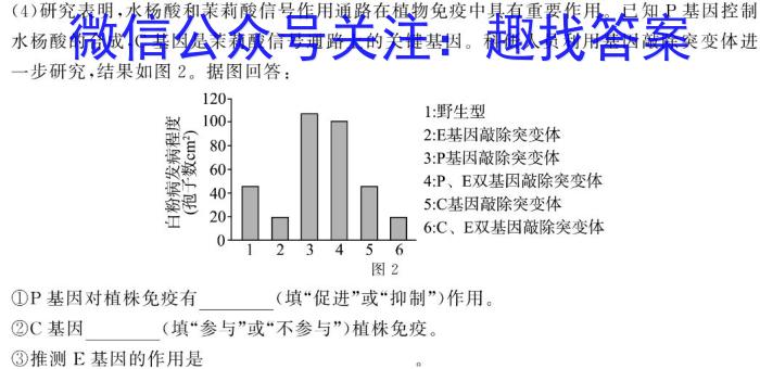 2024届学海园大联考高三信息卷(一)数学