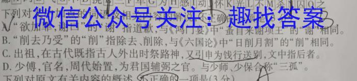 2023年湖南省高三年级5月联考（524C·HUN）语文