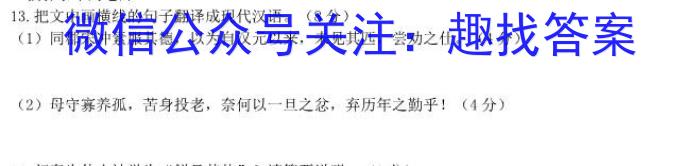 安徽第一卷·2023年中考安徽名校大联考试卷（四）语文