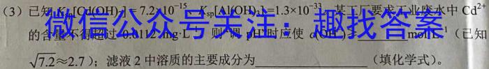 山西省2023届九年级考前适应性评估（三）（8LR）化学