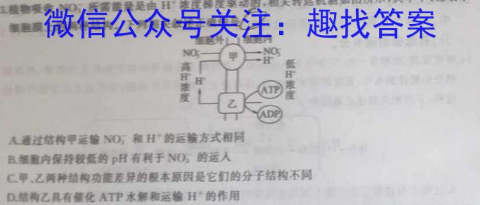 2024届天一大联考高中毕业班5月适应性考试数学