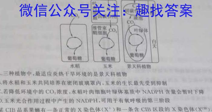 涡阳三中2023-2024学年下学期高二年级第二次阶段测试(242883D)数学