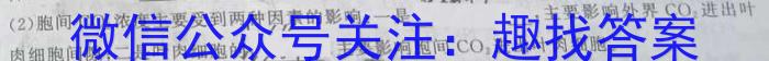 2024年河南省普通高中招生考试模拟试卷(三)数学