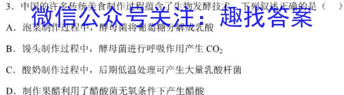 名校之约-2024河南省中招考试仿真冲刺试卷(C)数学