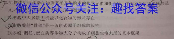 山西省2023-2024学年第二学期高二下学期5月联考数学