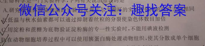 2024届四川省高三10月联考(⇨⇦)文理 数学