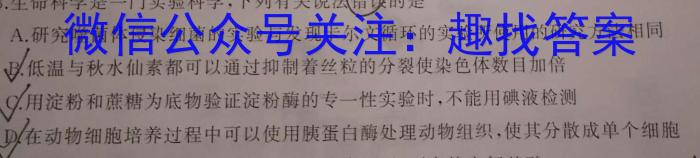 安徽省2023~2024学年度七年级教学素养测评 ☐R-AH数学