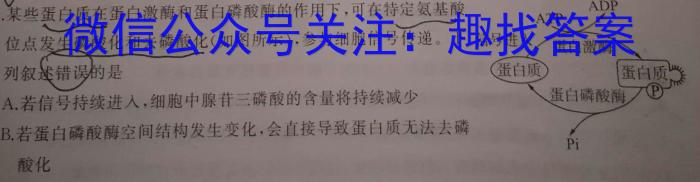 智ZH 河南省2024年中招模拟试卷(三)3数学