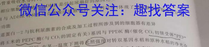 邕衡金卷·南宁市第三中学(五象校区) 2024届高三第一次适应性考试数学