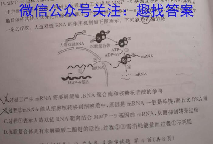 2024届高三仿真模拟调研卷(二)数学