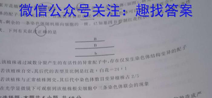 河北省卓越联盟2023-2024学年第一学期高三月考试卷(24-288C)数学