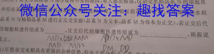 云南师大附中2023-2024年2022级高二教学测评月考卷(七)7数学