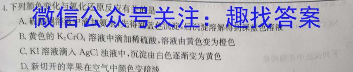 皖智教育 安徽第一卷·2023年八年级学业水平考试信息交流试卷(九)化学