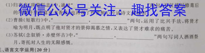 玉溪市2022-2023学年春季学期期末高二年级教学质量检测语文