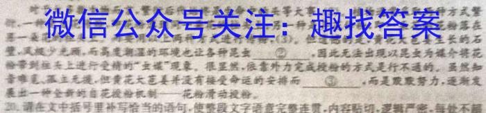 安徽省中考2023年精准预测卷语文