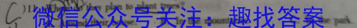 2023届普通高校招生全国统一考试·NT精准考点检测重组卷(全国卷)(三)英语