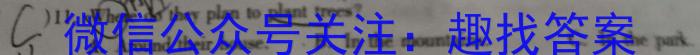 安徽省2022~2023学年度八年级下学期阶段评估(二)27LR-AH英语