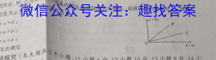 2023年普通高等学校招生伯乐马押题考试(三)物理`