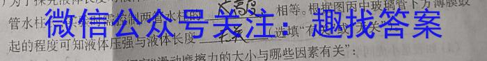 中考模拟压轴系列 2023年河北省中考适应性模拟检测(仿真二)f物理