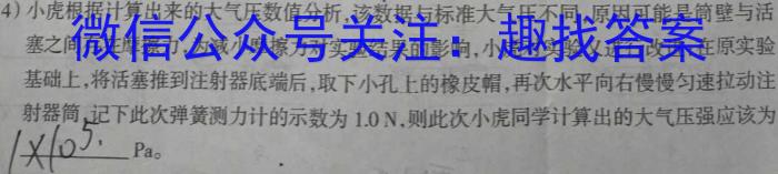 2023年河北省初中毕业生升学文化课考试 麒麟卷(二)物理`