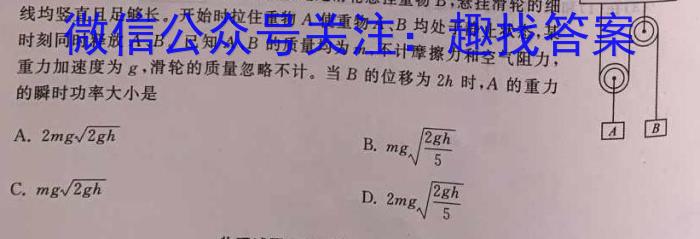 湖北省部分市州2023年7月高二年级联合调研考试物理.