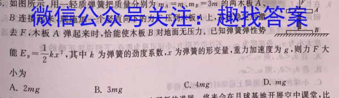 2023届陕西省第十次模拟考试物理`