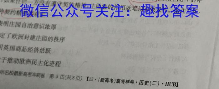 非凡吉创·2022-2023下学年高三年级TOP二十名校猜题大联考(二)历史