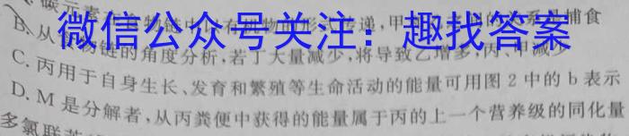 福建省漳州市2024届高中毕业班第一次教学质量检测数学