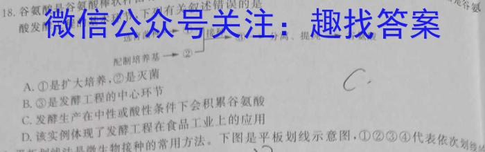 重庆市鲁能巴蜀中学2024年九年级下学期第一次月考数学