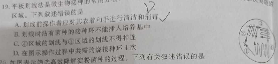 2024辽宁部分重点中学协作体高三上学期开学测试数学考试