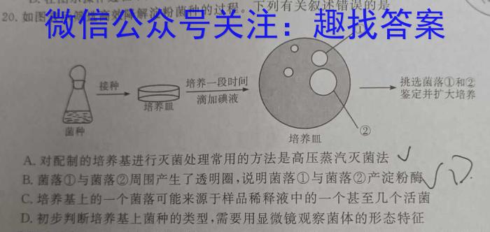 重庆市新高考金卷2023届全国Ⅱ卷押题卷(二)数学