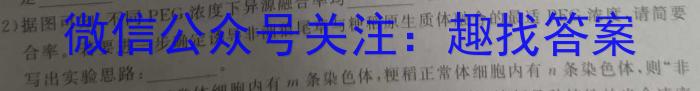 陕西省2024年九年级仿真模拟示范卷 SX(三)3数学