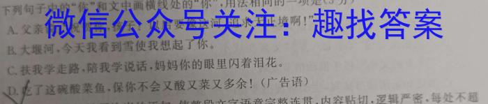 甘肃省张掖市某重点校2022-2023学年高二下学期6月月考语文