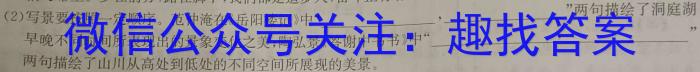 河南省2022~2023年度下学年高二年级第三次联考(23-500B)语文