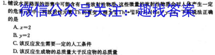 文博志鸿 2023年河南省普通高中招生考试模拟试卷(冲刺一)物理`