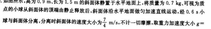 名师卷 2023届普通高等学校招生全国统一考试仿真模拟卷-物理