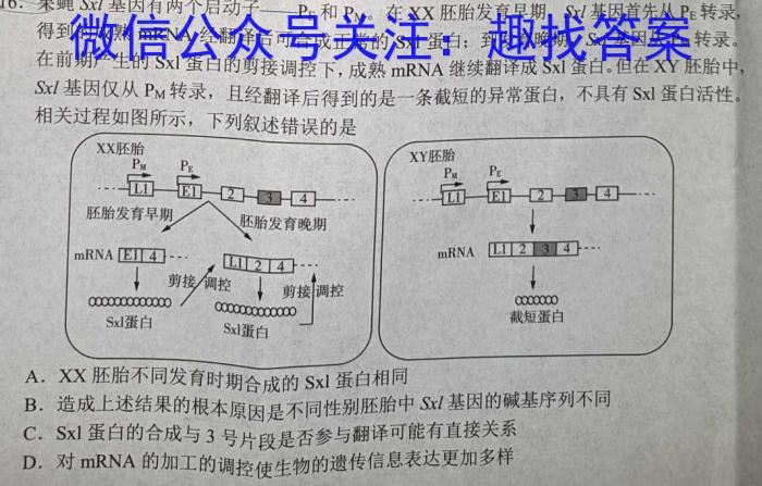 2024届分科综合检测卷(六)数学
