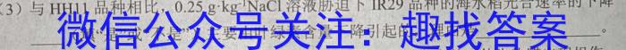 陕西省2023-2024学年度七年级第二学期阶段性学习效果评估（一）数学