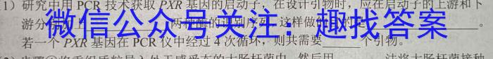 2023年普通高等学校招生伯乐马押题考试(二)生物