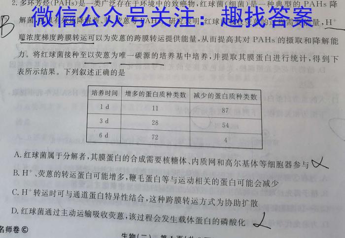 河北省2023-2024学年第一学期高二年级二调考试(242429D)数学