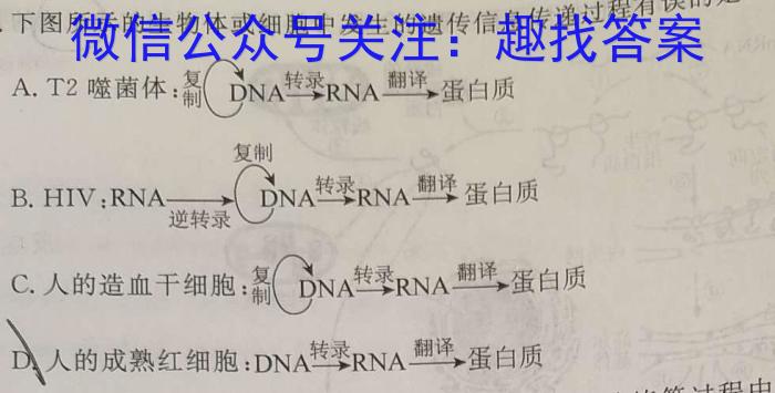 卓育云2022-2023中考学科素养自主测评卷(八)数学