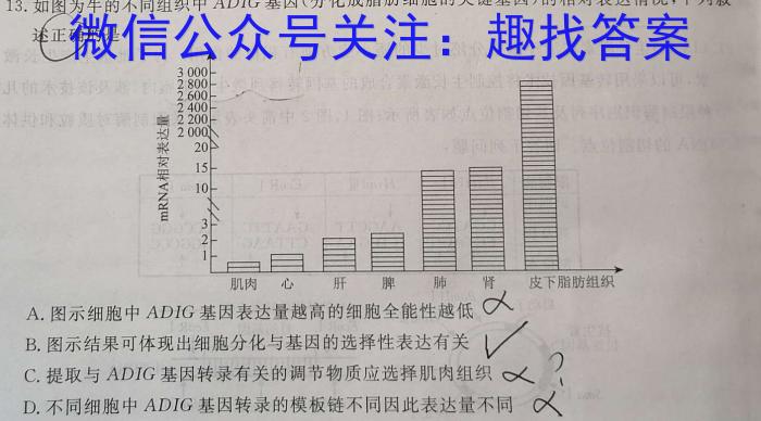 河北省2024年初中毕业生升学文化课第二次模拟暨毕业考试数学