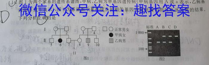 衡水金卷先享题信息卷 2024年普通高等学校招生全国统一考试模拟试题(二)数学