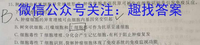 安徽省池州市2023～2024学年度八年级开学考试数学